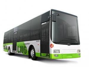 Wuzhoulong FDG6111 LNG 2006 года